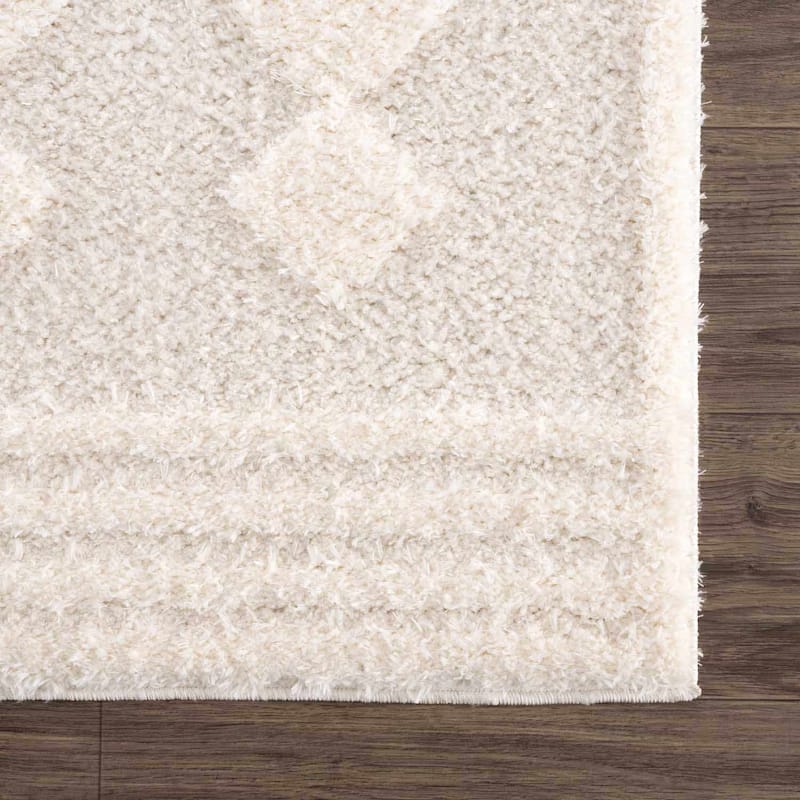 Hauteloom Hija Living Room, Bedroom Area Rug - Plush Pile - Beige, White - 2' x 3'