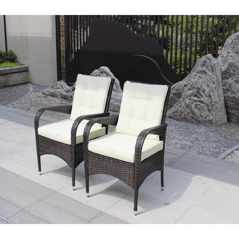 2-Piece Liberatore Dining Chairs with Cushions