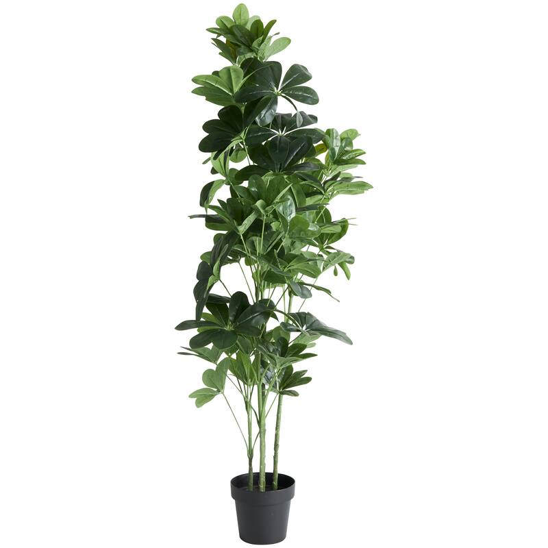 Faux Foliage Money Tree Tall Artificial Tree with Black Pot - Green - Roche River Decor - 24"W x 30"L x 63"H