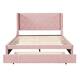 Queen Size Storage Bed Velvet Upholstered Platform Bed with Wingback ...