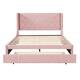 Option Pink