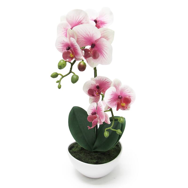 Artificial Phalaenopsis Orchid Flower Arrangement in Pot 16in