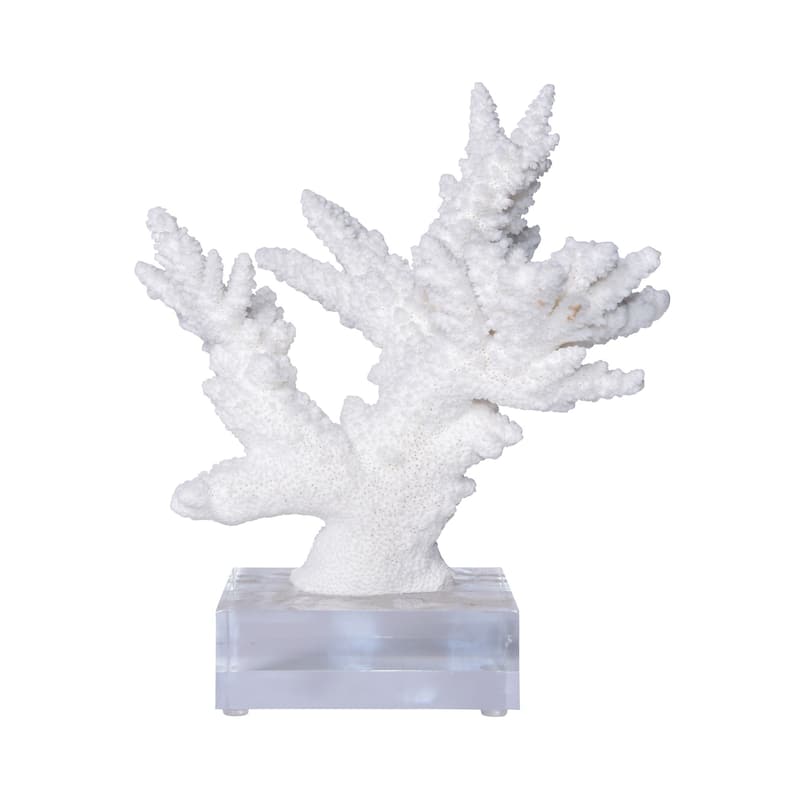 Branch Coral 10-12 Inch On Acrylic Base