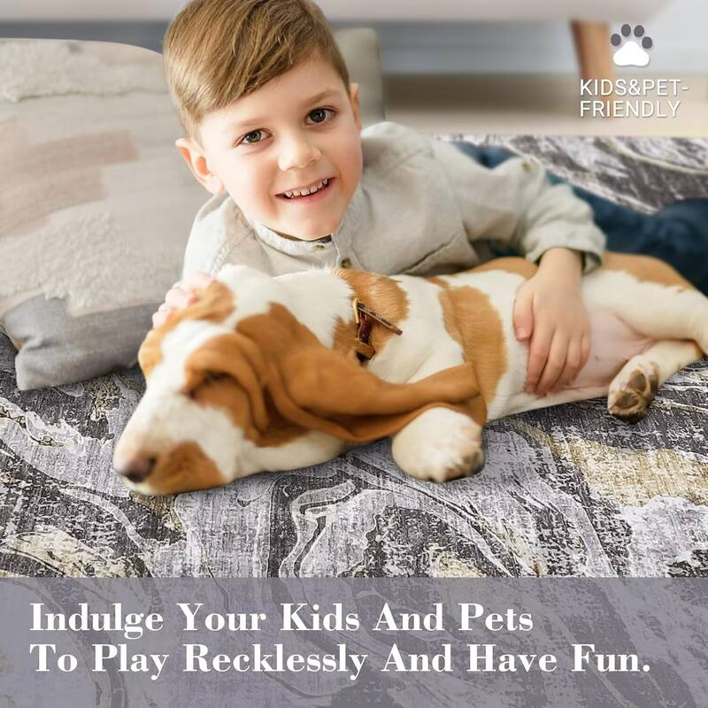 Modern Abstract Area Rug Washable Non-Slip Low Pile Rugs for Living Room Bedroom