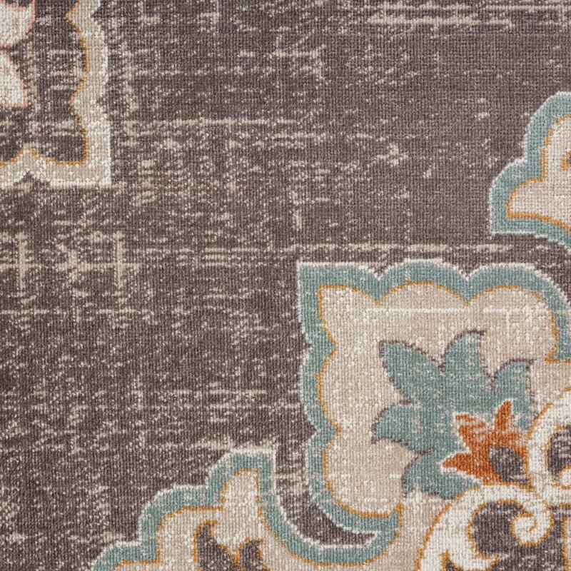 Sevita Rustic Transitional Medallion Area Rug
