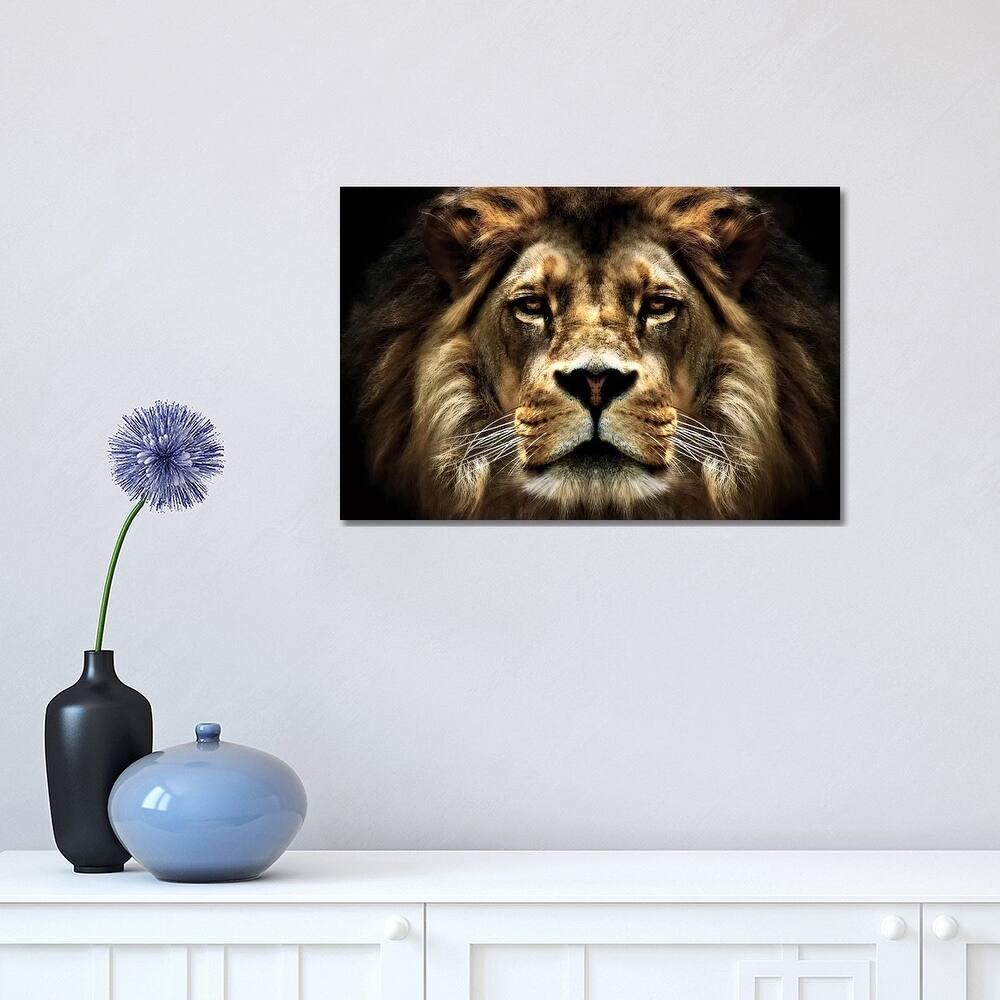 iCanvas "The Lion" by SD Smart Canvas Print