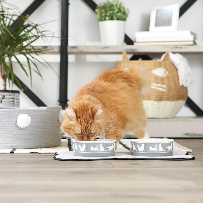 Bone Dry Pet Bowl Cats Meow (Set of 2)