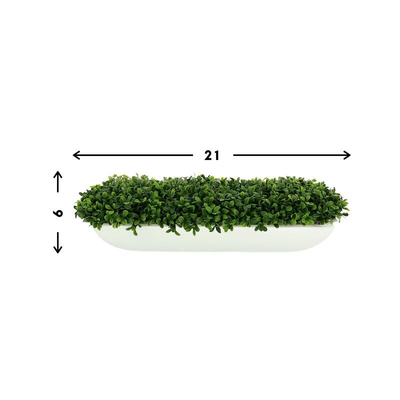 UV Rated Outdoor Boxwoods Arranged in a Rectangular Planter