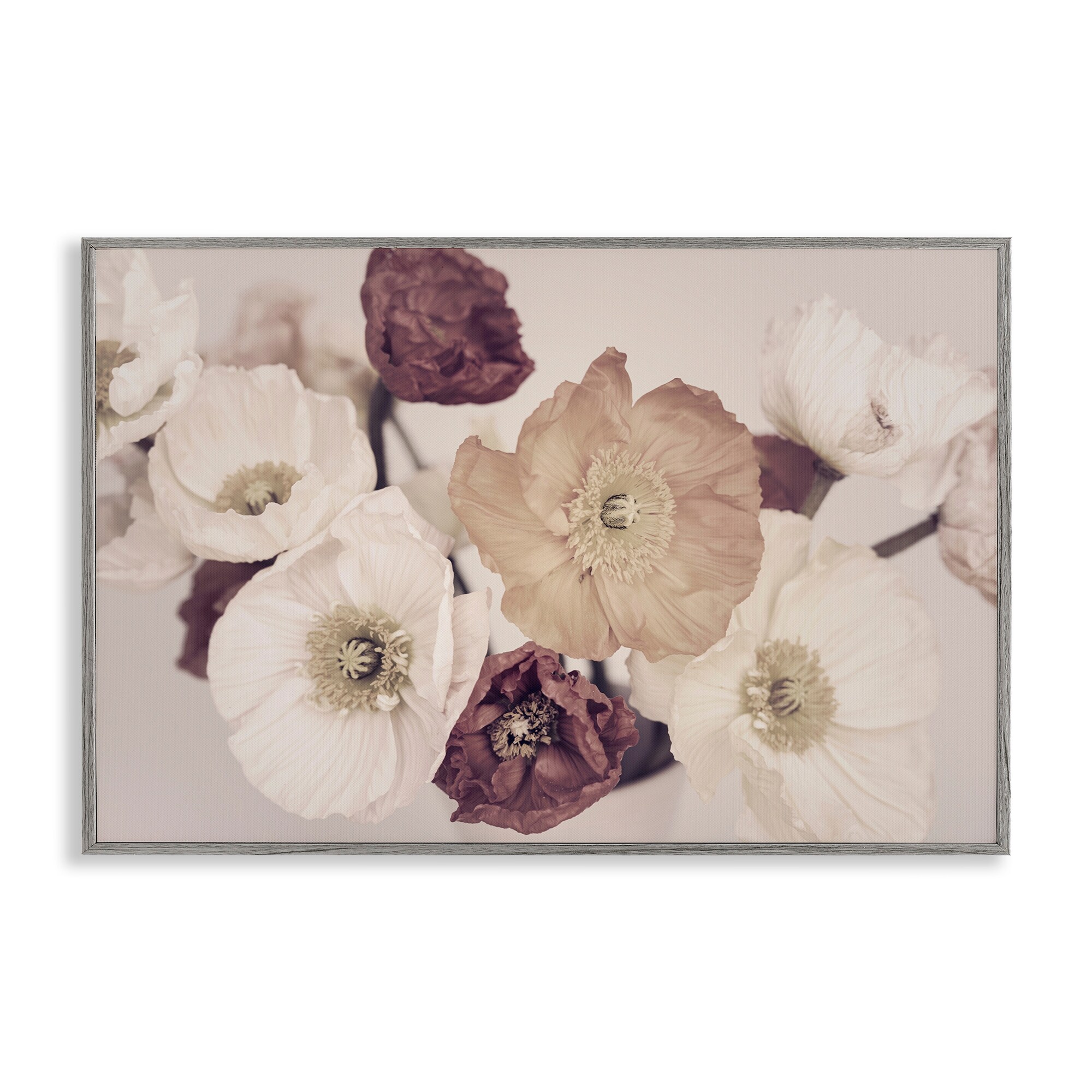 Stupell Open Blooms Maroon Florals Framed Giclee Art Design By Sisi and Seb