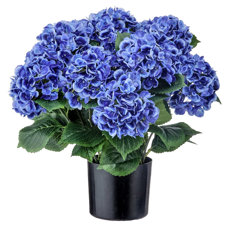 22" Potted Garden Hydrangea