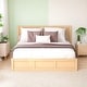 preview thumbnail 1 of 10, Queen Size Wood Platform Bed with Underneath Storage and 2-Drawers, Wood Color Wood Color