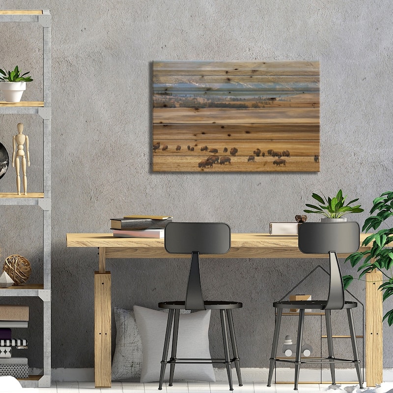 Grazing Bison (American Buffalo) Herd On The Plain, Pike National Forest, Colorado, USA Print On Wood by Cindy Miller Hopkins