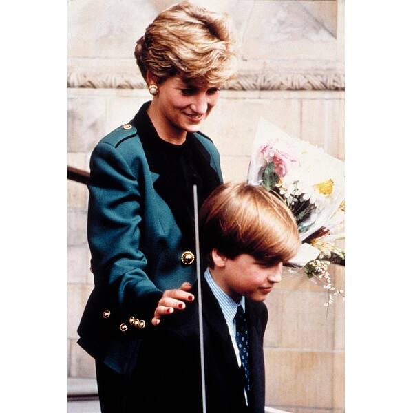 Shop Princesslady Diana Spencer History Overstock 24381132