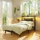preview thumbnail 21 of 82, Headboards with Storage Shelves, Head Board with Power Outlet and LED Light for Bed Frame