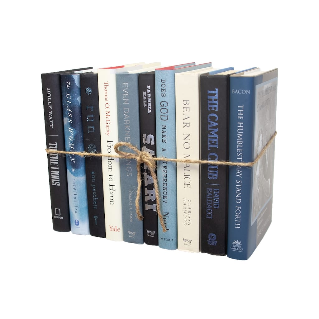 Books Blue Decorative Accessories: Overcast Mixed Media ColorPak