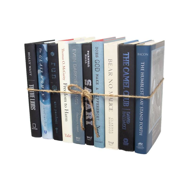Books Blue Decorative Accessories: Overcast Mixed Media ColorPak