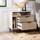 Middlebrook 25-inch Modern 2-drawer Storage Nightstand