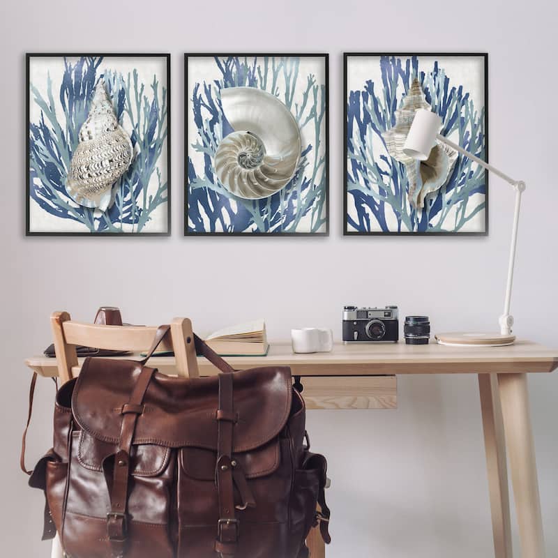 Stupell Trio of Shell Coral Blue Beach Design, 3pc Multi Piece Framed Wall Art Set