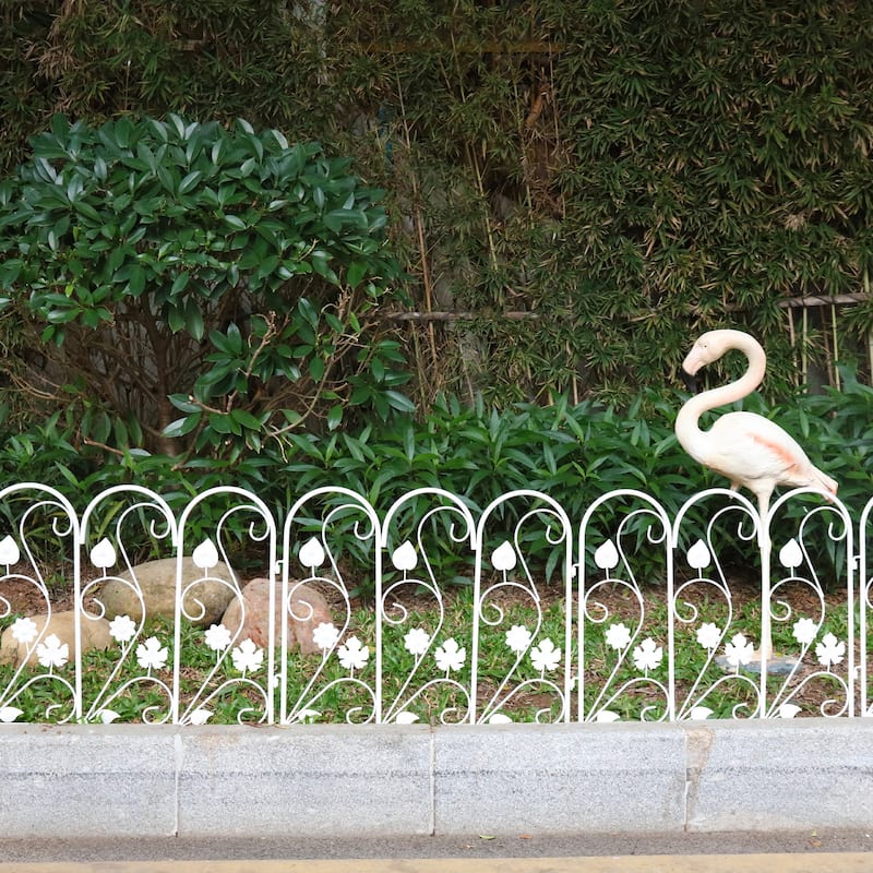 5X Folding Decorative Garden Fence Iron Animal Barrier Flower Border