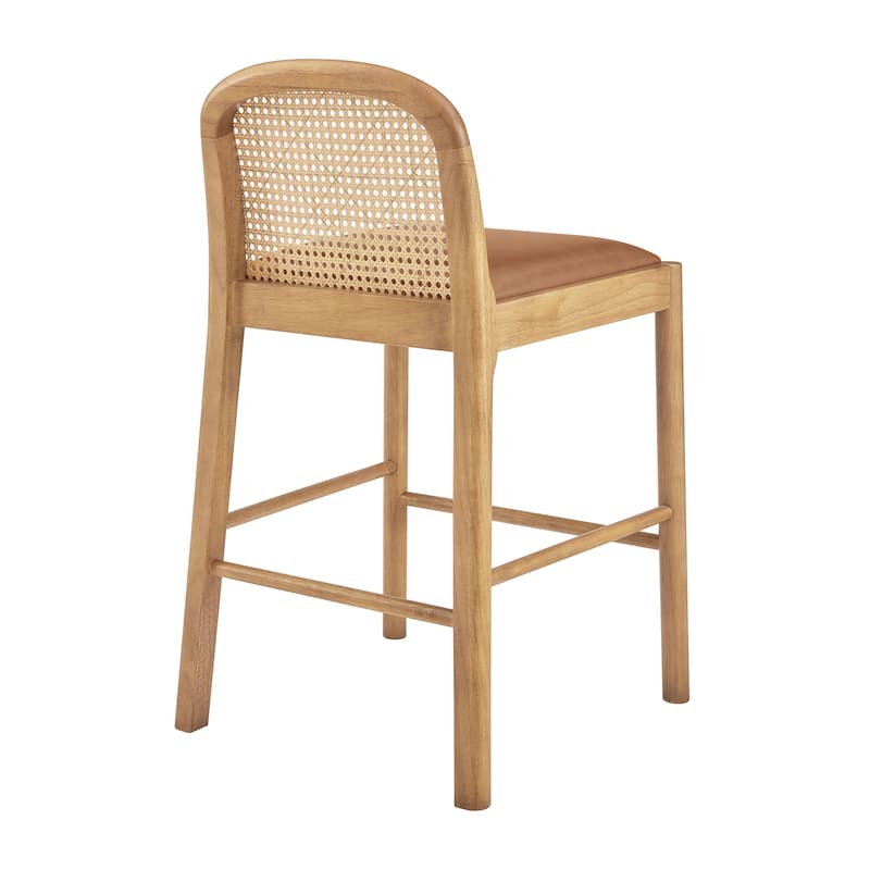 NPD Furniture Donna Faux Leather Rattan Counter Stool (Set of 2)