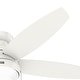 preview thumbnail 12 of 23, Hunter Lilliana Low Profile Ceiling Fan w/LED Light Kit, Pull Chain, Exclusive SureSpeed - Modern, Transitional