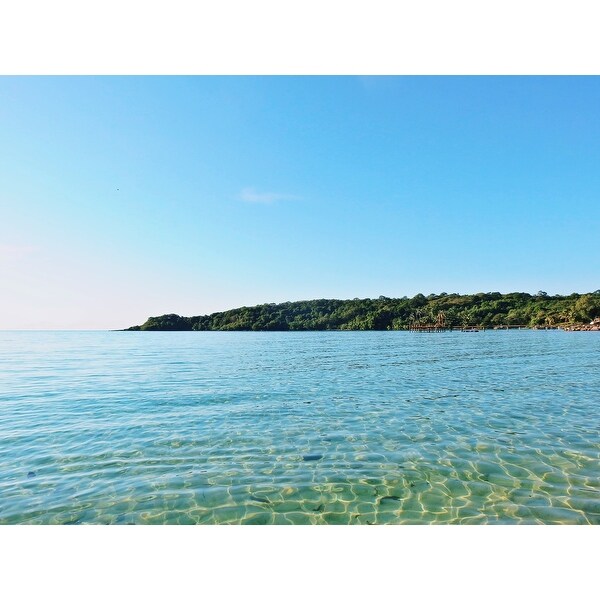 Nature Tree Clear Water Photograph Art Print Wall Artwork Decor