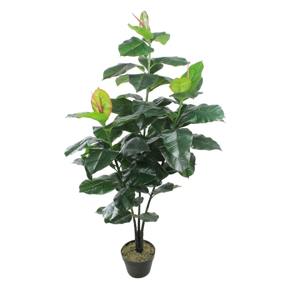 51" Potted Green and Red Artificial Rubber Inspired Plant - N/A