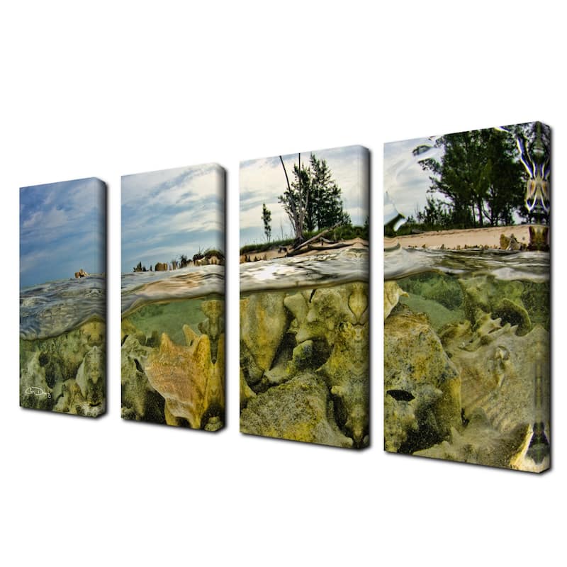 Ready2HangArt 'Conch Shells' 4-Piece Wrapped Canvas Wall Art Set