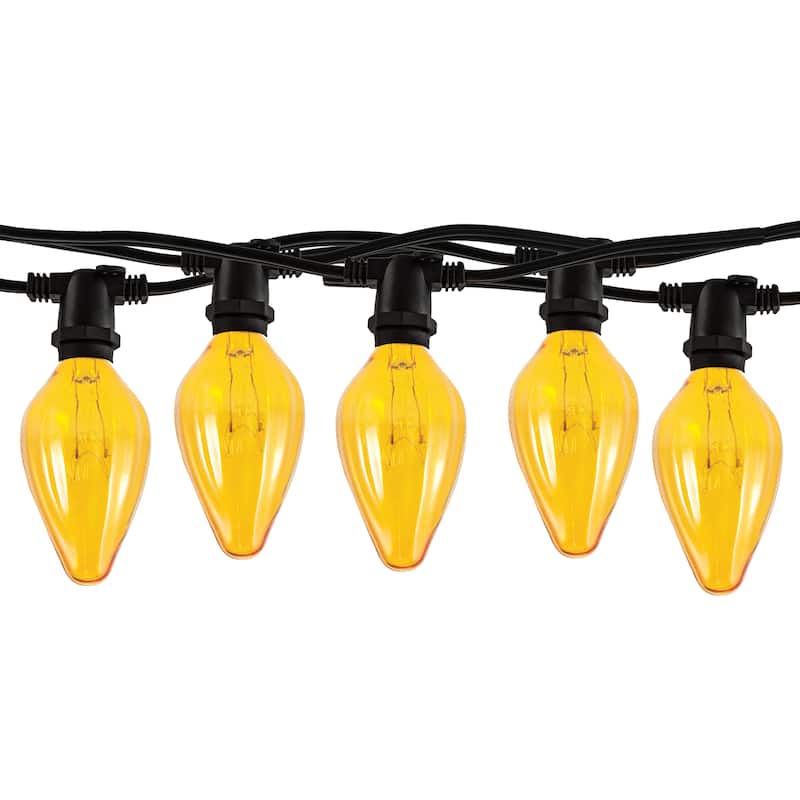 Bulbrite 14 Foot Indoor/Outdoor Black String Light with 10 -15 Watt Bulbs