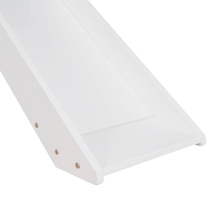 Loft Bed with Slide