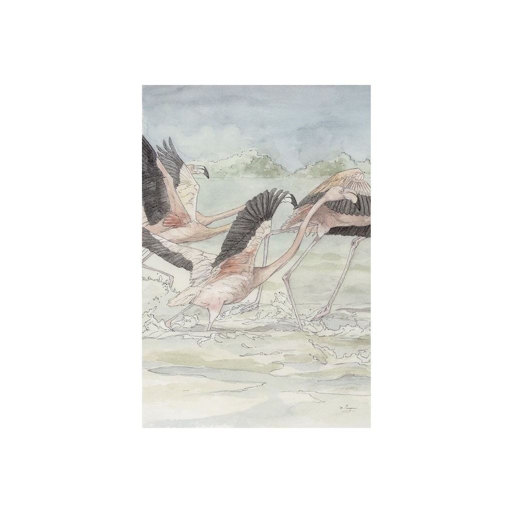 Flamingo I (20 x 30) Canvas Art Print