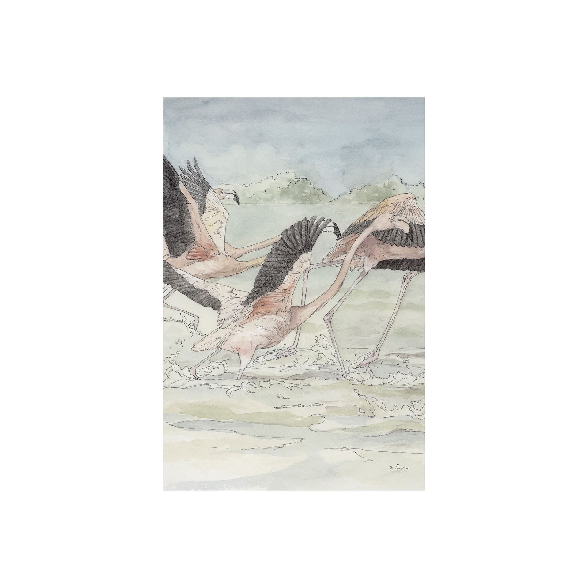 Mercana Flamingo I (20 x 30) Canvas Art Print