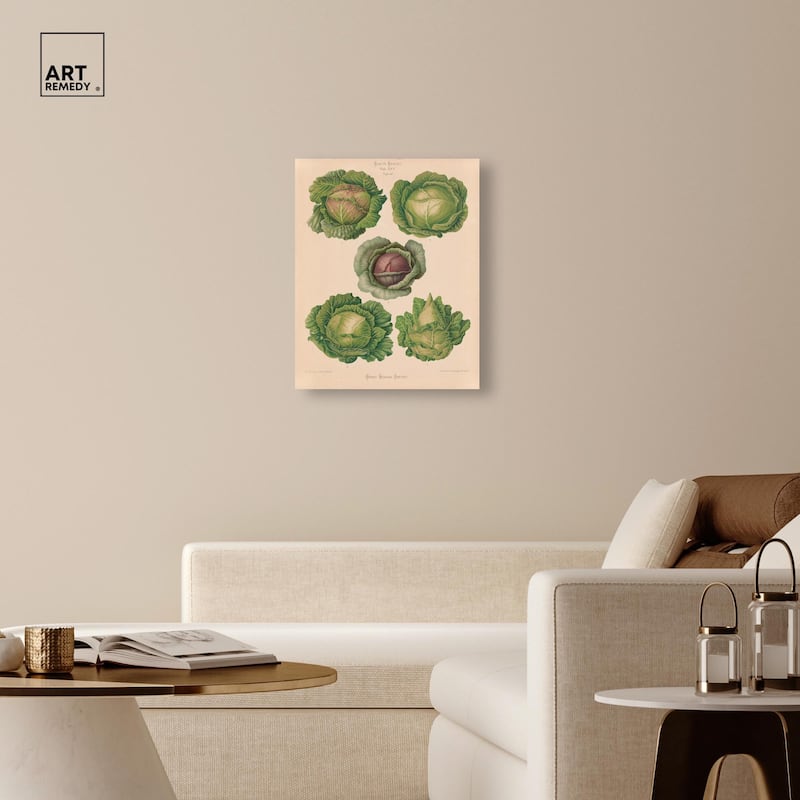 Cabbages by Benary 1876 Canvas by Art Remedy, Gallery Wrapped