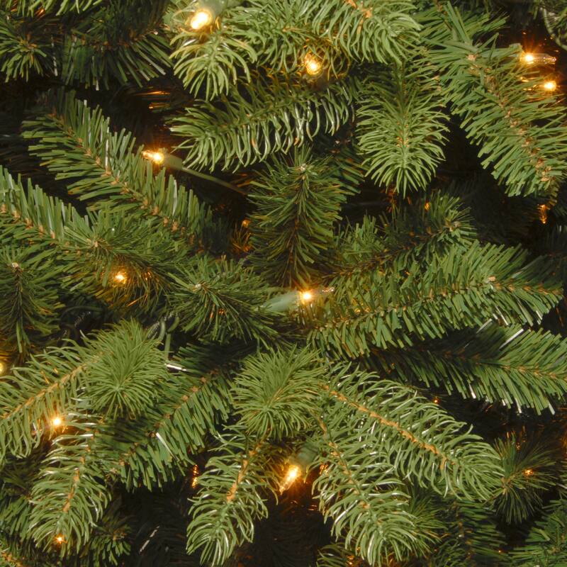 National Tree Company 5 ft. Newberry Spruce Tree with Dual Color LED Lights