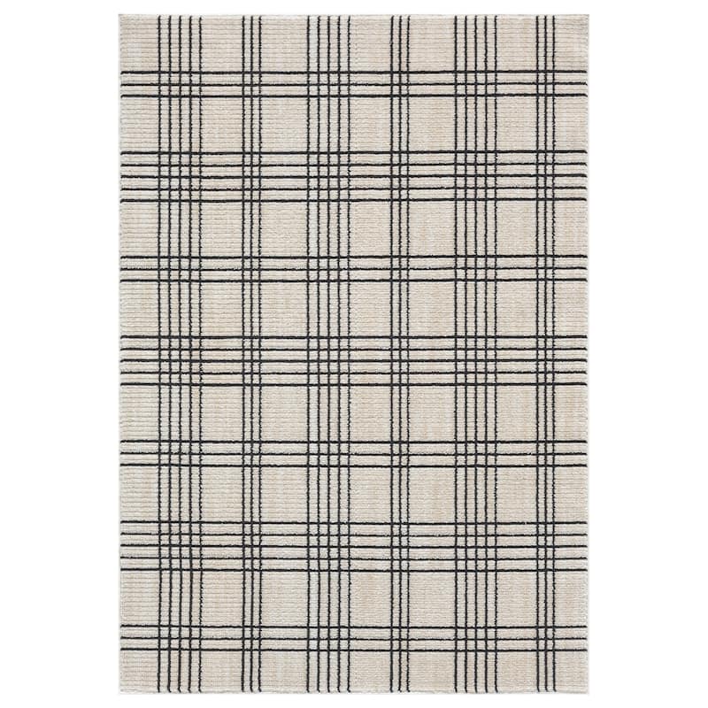 Nomad Collection Plaid Patterned Area Rug - White/Charcoal - 2' x 3'