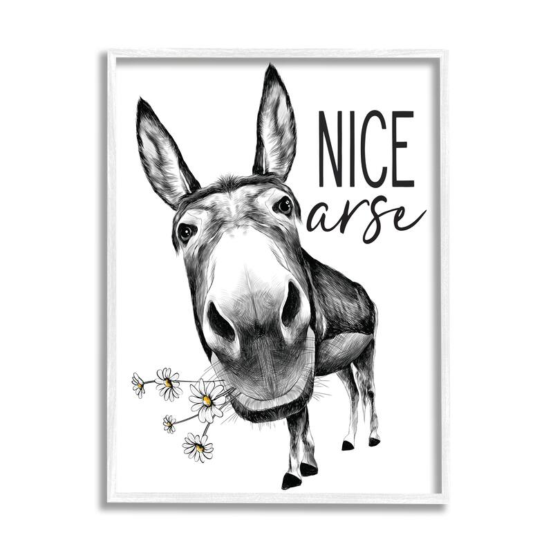 Stupell Nice Funny Donkey Pun White Daisey Flowers Framed Wall Art