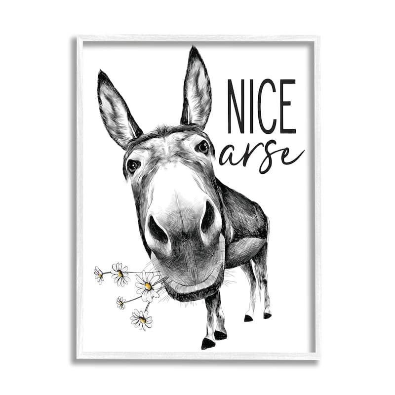 Stupell Nice Funny Donkey Pun White Daisey Flowers Framed Wall Art