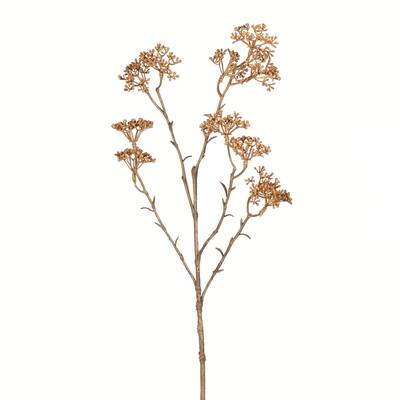 Vickerman 25" Artificial Beige Patrinia Spray, Set of 4