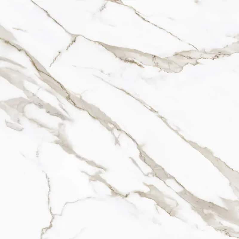 Regalia 24x24 in. Matte Color Body Porcelain Marble-look Vein Large Wall and Floor Tile (15.5 sq ft/case, 4-Pack)