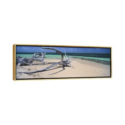 iCanvas "Driftwood on the beach, Green Island,Great Barrier Reef, Queensland, Australia" by Panoramic Images Framed Canvas Print