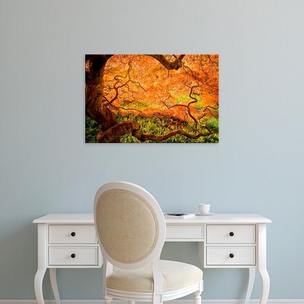 Easy Art Prints Jaynes Gallery's 'Japanese Maple Trees In Winterthur Gardens' Premium Canvas Art