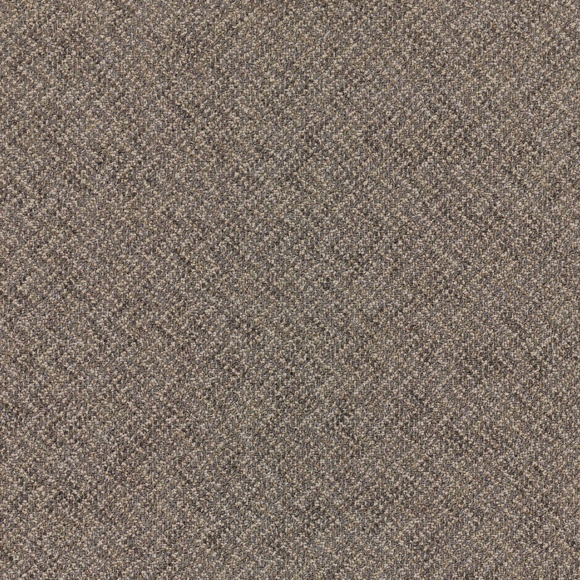 Mohawk Industries Laconia - 24" x 24" Square Carpet Tile - Tufted