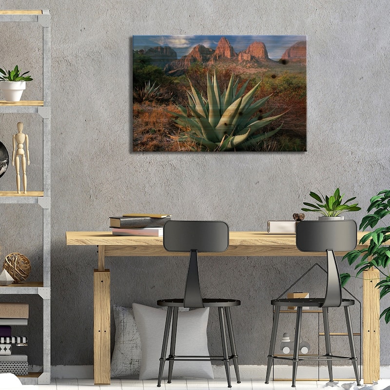 Chisos Agave And The Chisos Mountains, Big Bend National Park, Texas II Print On Wood by Tim Fitzharris - Multi-Color