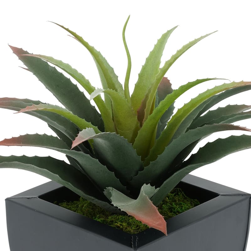 Faux Star Succulent in Tapered Zinc Planter