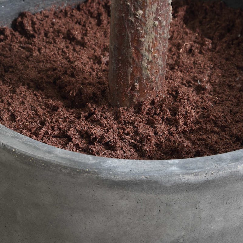 Uttermost 60246 Eden 108" Tall Fig Tree Artificial Plant in a Concrete - Green / Characoal