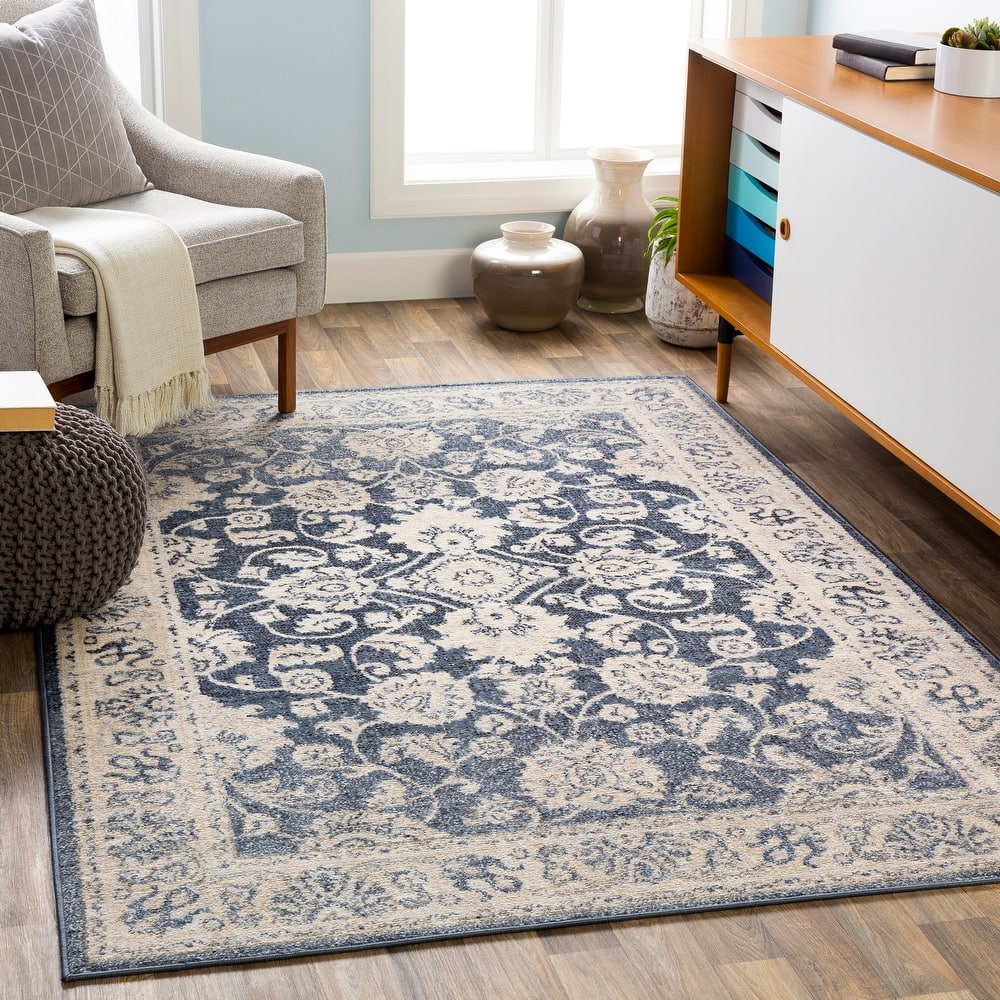 Amedeo Traditional Area Rug