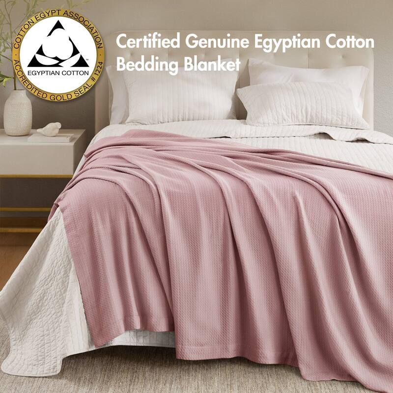 Madison Park Egyptian Cotton Solid Blanket