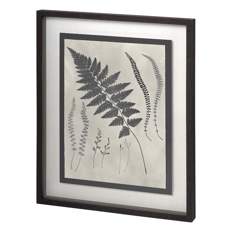 Vintage Fern Study II Framed Art Print