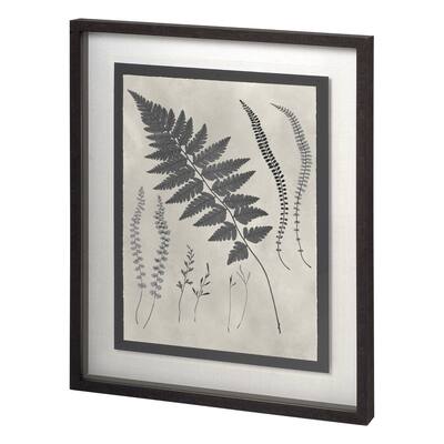 Vintage Fern Study II Framed Art Print