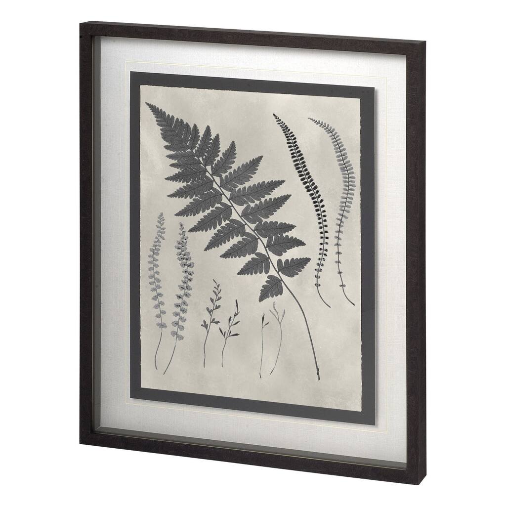 Vintage Fern Study II Framed Art Print